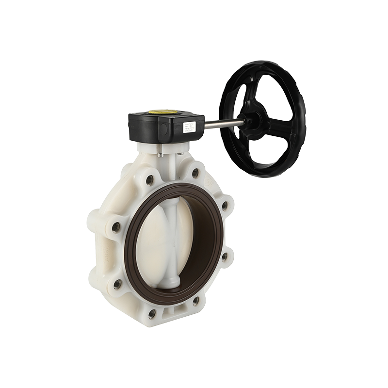 Lug Style Papilio Valve